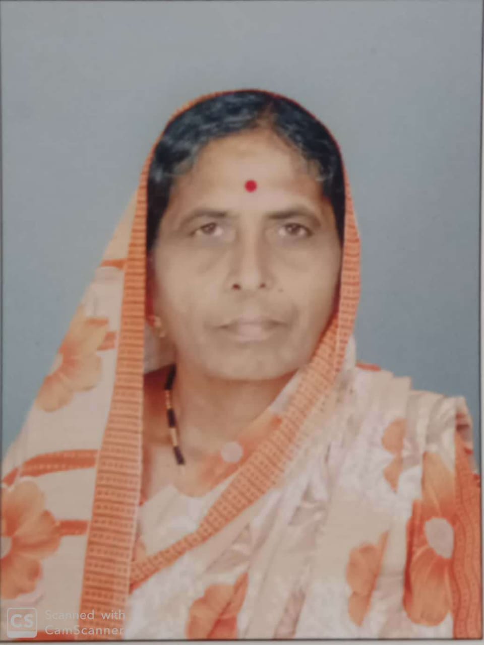 सदस्य